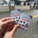 [일본/오사카 자유여행] 3박4일 기록: Day2(2024)
