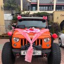 신호등카써비스 이미지