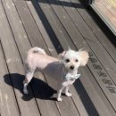 피움동물병원 이미지