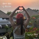 발리 LXR 파샬 오션뷰 (구 반얀트리) 내돈내산 후기, 우마나 발리 조식 후기 + 광주 팜투어 프로모션