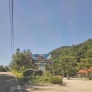 느티나무요정들 펜션 | 산정호수 맑은물 캠핑장 사이트 7월초 그늘 후기