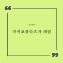 마이코 이미지