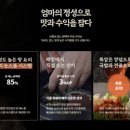 정연 에프앤비
