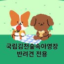 국립김천숲속야영장 이미지