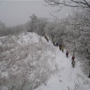 봄커뮤니케이션 이미지