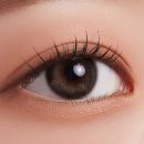 렌즈베리 경희대점 이미지