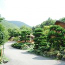 대운산자연휴양림 이미지