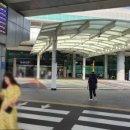 그린카하우스 이미지