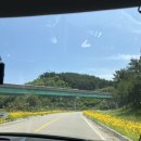 별그린농원 | 다녀온 더그린캠핑 양양 | 개별바베큐 불멍 카라반까지 캠핑감성 제대로였던 더그린캠핑 내돈내산후기