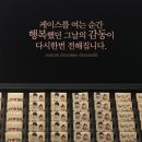 초코셀디