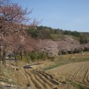 어은동마을회관 이미지