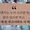 신양오리 이미지