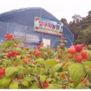 달구지농원 이미지