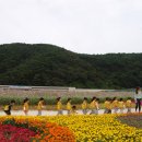 코스모스 어린이집 이미지