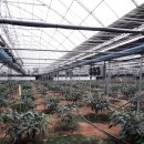 윤미농장 이미지