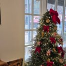 멜로우월드 | [인천 송도] 소금빵 샌드위치🥐 브런치 맛집 송도 모어멜로우 내돈내산