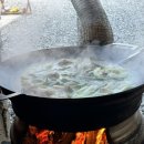 강릉초이 | 강릉 촌캉스 숙소, 사천해변 도보 2분 예쁜 시골집 독채 펜션 강릉초이 내돈내산 후기