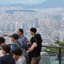 도시N공인중개사사무소 이미지