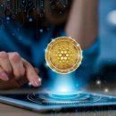 더크립24 이미지