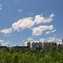 맑은하늘 이미지