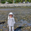 은점어촌체험휴양마을 이미지