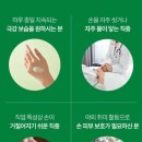 핸드핸즈