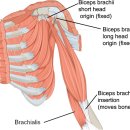 아크피티스튜디오 이미지