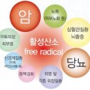 편백수소테라피
