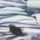 어제 법정에서 공개된 앰버 허드가 침대에 똥싼 사진 (모자이크 없음, 혐주의) 이미지