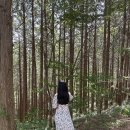 힐링카운티 14동 | 고창 가족여행 코스 면역펜션 :고창웰파크시티 힐링카운티