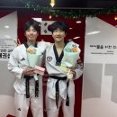 인성태권도 이미지