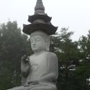삼강주유소 이미지