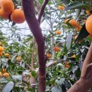 승희네농장 이미지