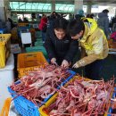 동해-단속-22 이미지