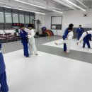 세종체육도장 이미지