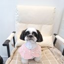 오늘도, 아름답개 네이버블로그