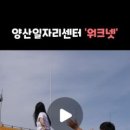 양튜브 이미지