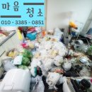 강남-077 | 쓰레기집 청소 가격 정리과정 후기 한번에 알아보기