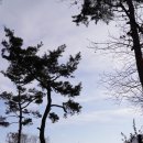 최시형 선생묘 이미지