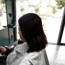 에비뉴블루 이미지