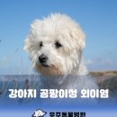 과천우주동물병원 이미지