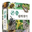 곤충쉽게찾기 도감 ＜1581종＞ 출간 - 우리 주변 곤충의 모든 것.. 이미지