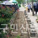 간선-31 이미지
