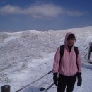 이쁜손 이쁜얼굴 이미지