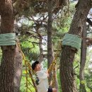 계룡산유아숲체험원 이미지