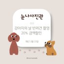 국제사진관 이미지