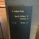 Banyan Tree Club&SPA Seoul Indoor Pool | 서울 중구 반얀트리 호텔 스파 | 반얀트리 클럽 앤 스파 서울 딥티슈 90분 후기