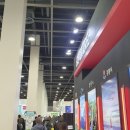 잘생김사업단 | 2024 내나라 여행 박람회 방문 후기 (feat. 여행 유튜버 채코제 님 봤어요~)