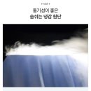 쏘쿨 이미지