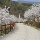 서라벌농원